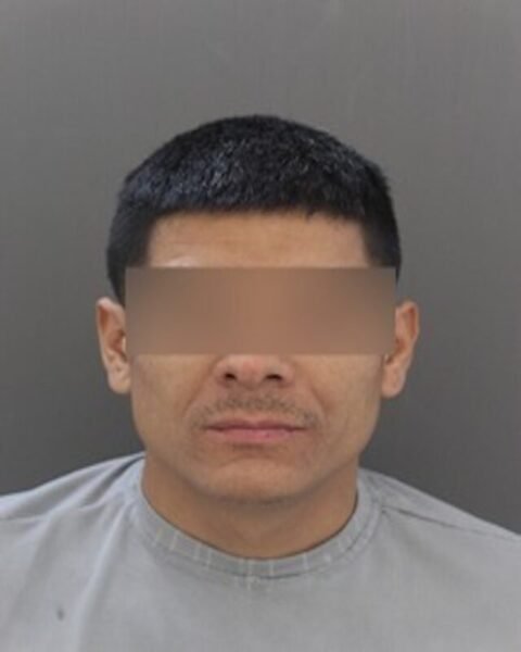 a2569168-8154-4e44-b8c4-878ad1e6b771 PAUSA.MX