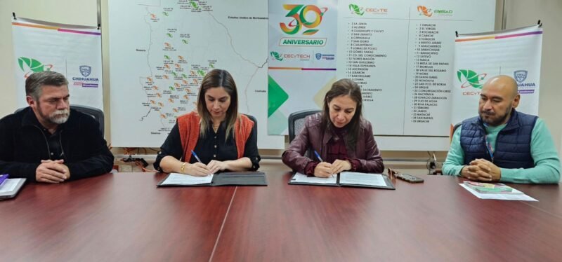 WhatsApp Image 2023-11-03 at 9.00.56 AM