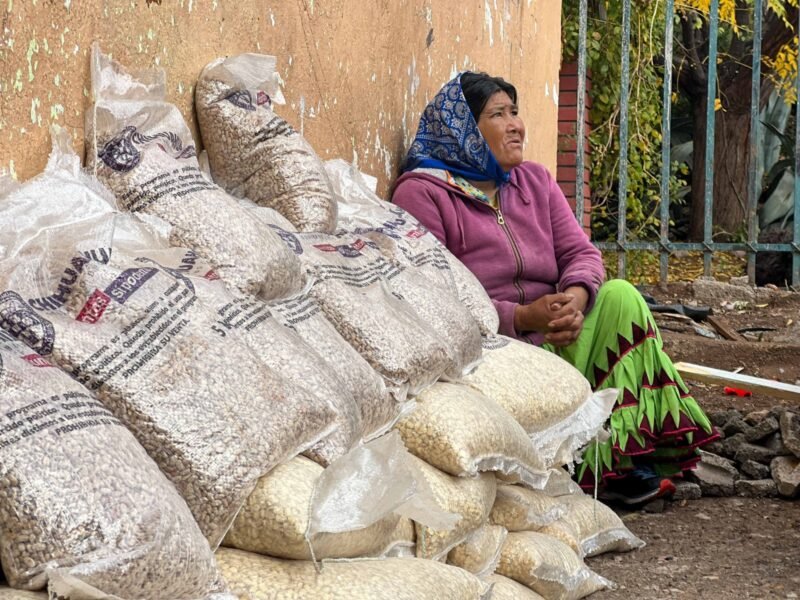 ab452192-ca58-43a9-81f2-ef682a951e8a