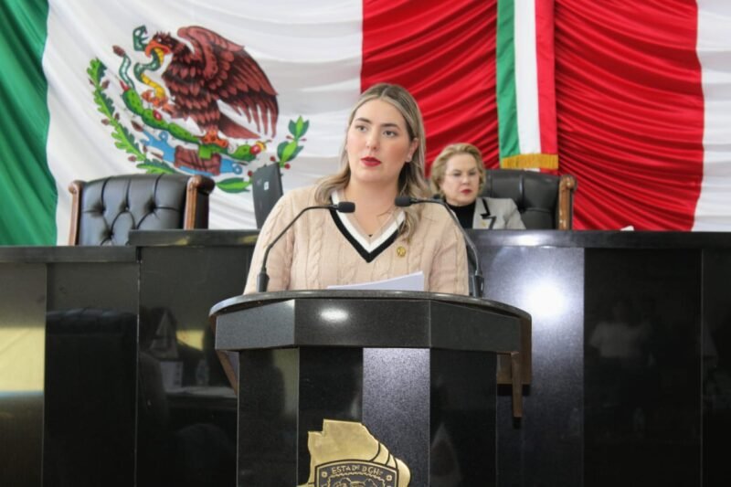 Diputada de Morena América García (1) Pide América García mejorar alumbrado público