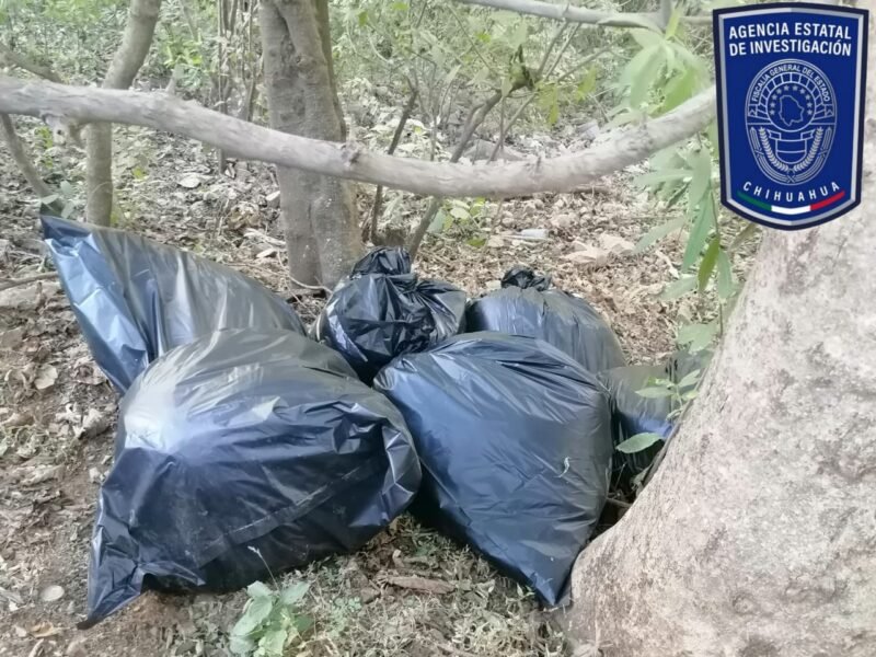 WhatsApp Image 2023-12-22 at 10.47.20 AM