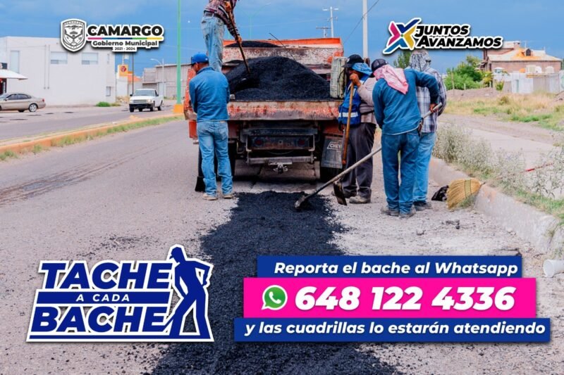 WhatsApp Image 2023-12-28 at 12.08.47 PM (1)