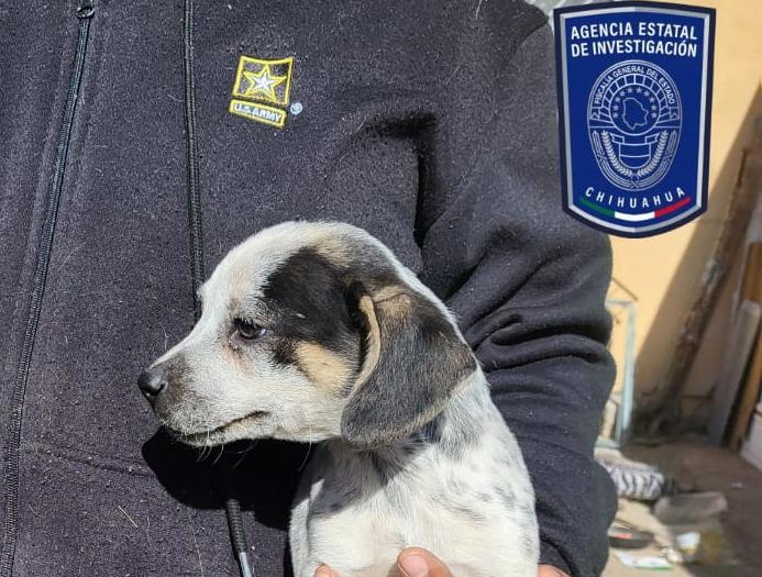 WhatsApp Image 2023-12-29 at 2.23.06 PM