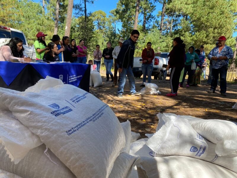 590e6352-8d5d-4625-a105-6db8957f1931