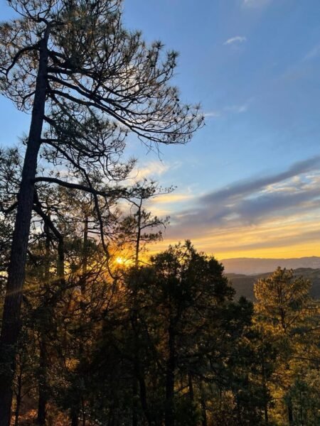 WhatsApp Image 2024-01-16 at 2.58.07 PM