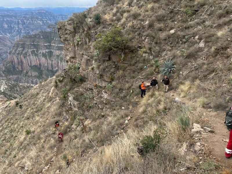 WhatsApp Image 2024-01-23 at 1.32.37 PM