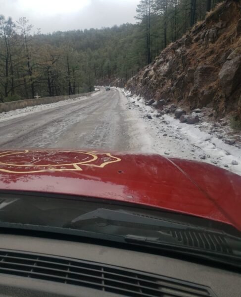 WhatsApp Image 2024-02-02 at 11.08.19 AM