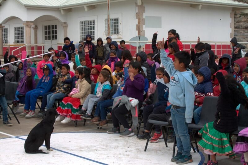 WhatsApp Image 2024-02-15 at 12.53.36 PM