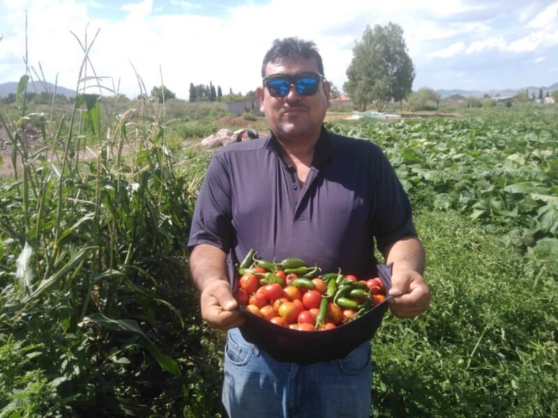 WhatsApp Image 2024-02-19 at 11.03.03 AM