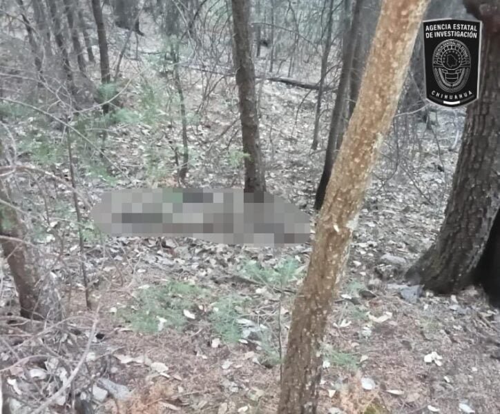 Noticias Chihuahua PAUSA.MX Hallan restos óseos durante rastreo en paraje del municipio de Ocampo