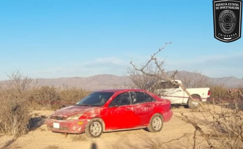 WhatsApp Image 2024-03-05 at 2.03.31 PM