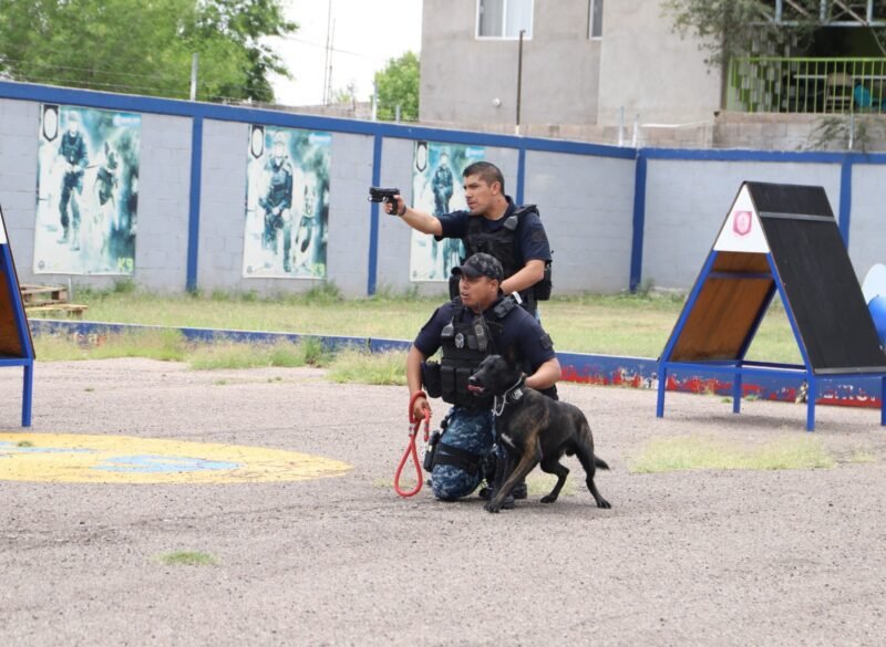 8639D231-A785-4E0F-9305-89F9FE844EB3