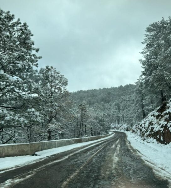 Noticias Chihuahua PAUSA.MX Reporta CEPC caída de nieve en 3 municipios ante el desplazamiento de la Novena Tormenta Invernal