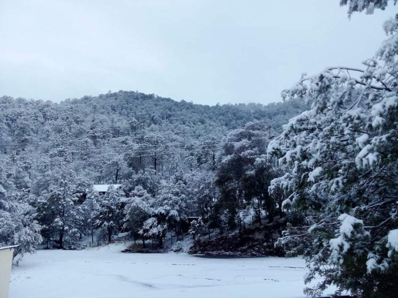 Noticias Chihuahua PAUSA.MX Reporta CEPC caída de nieve en 3 municipios ante el desplazamiento de la Novena Tormenta Invernal