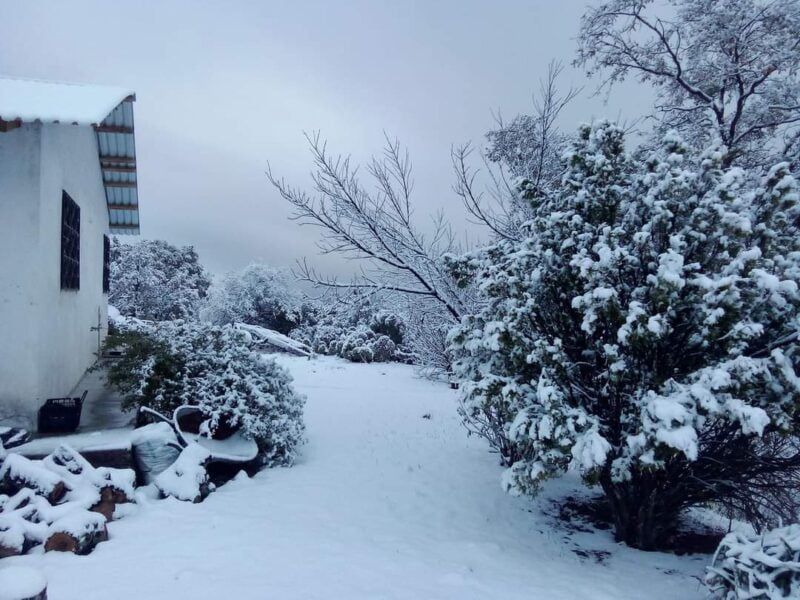 Noticias Chihuahua PAUSA.MX Reporta CEPC caída de nieve en 3 municipios ante el desplazamiento de la Novena Tormenta Invernal