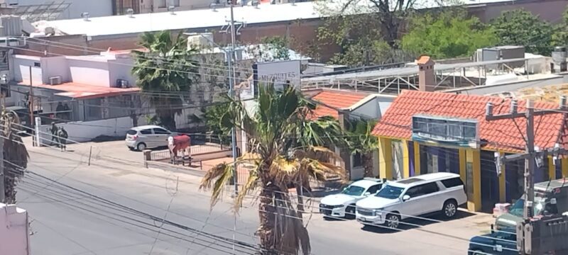 Noticias Chihuahua Pausa.MX Custodian Los Mezquites selectos escoltas vip