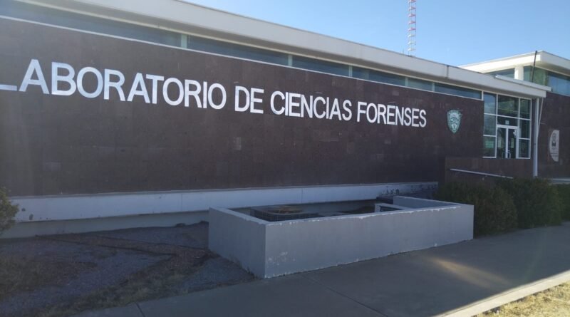 WhatsApp Image 2024-04-03 at 2.45.42 PM