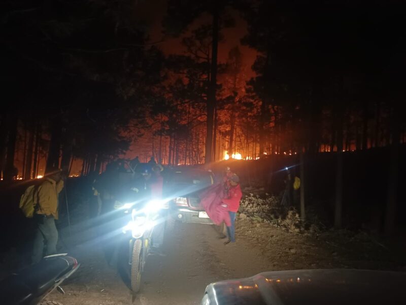 Noticias Chihuahua PAUSA.MX Participan 320 brigadistas en el combate de 15 incendios forestales activos en el estado