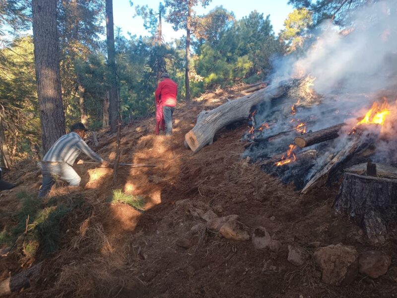 Noticias Chihuahua PAUSA.MX Participan 320 brigadistas en el combate de 15 incendios forestales activos en el estado