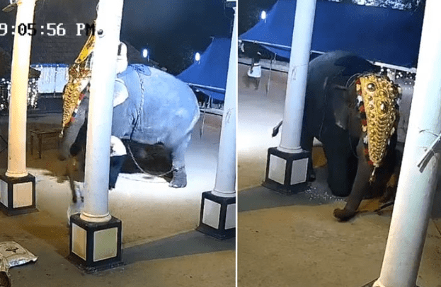 imagen_2024-04-05_182152454