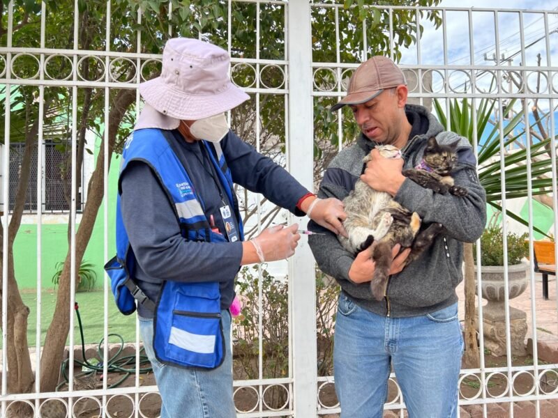 82406E82-15B0-4CB8-B20C-C4F7B6A273CD