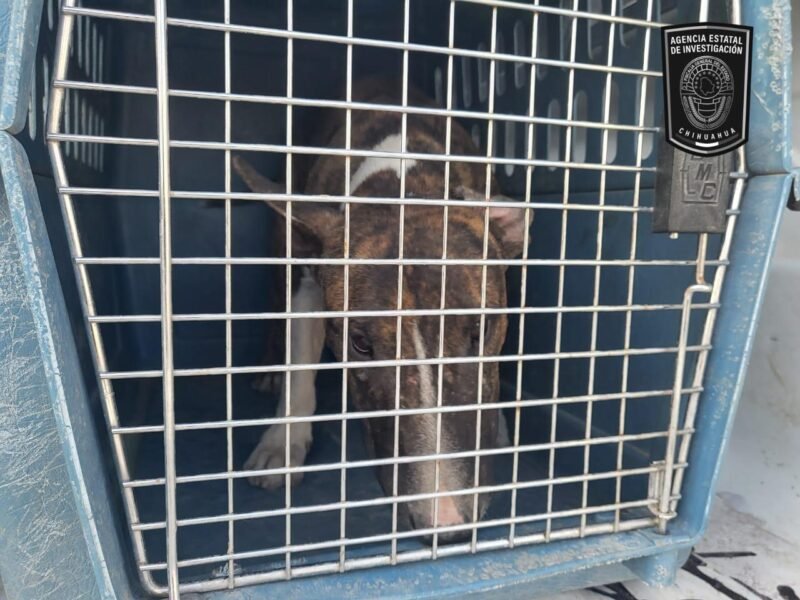 WhatsApp Image 2024-05-25 at 11.30.03 AM