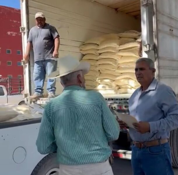 WhatsApp Image 2024-05-30 at 16.24.22