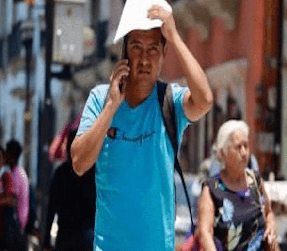 imagen_2024-05-08_134915748