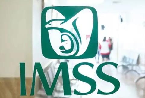 WhatsApp Image 2024-06-04 at 9.30.35 AM