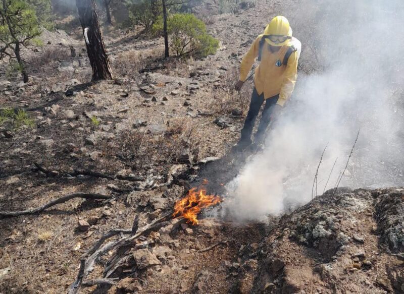 Noticias Chihuahua PAUSA.MX Combaten brigadas 16 incendios forestales activos en la entidad