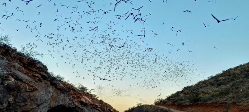 A3B6C6E4-345E-491F-9979-4A4492730AF9