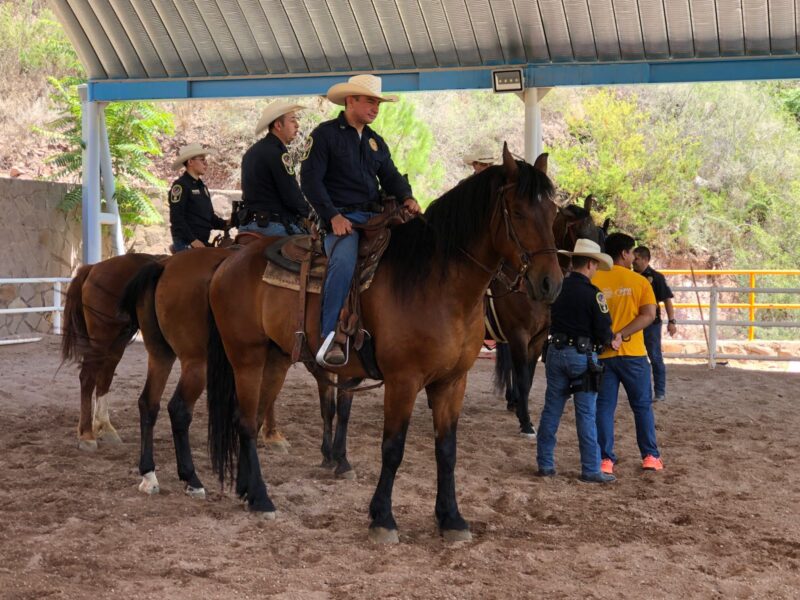 C016E75A-3873-4052-A9DE-B55F75B35C24