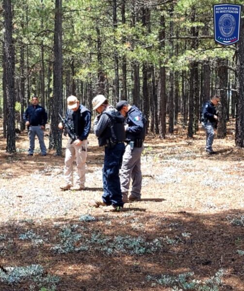 Noticias Chihuahua PAUSA.MX Realizan FGE y CLB inspección en Madera por cuatro desaparecidos