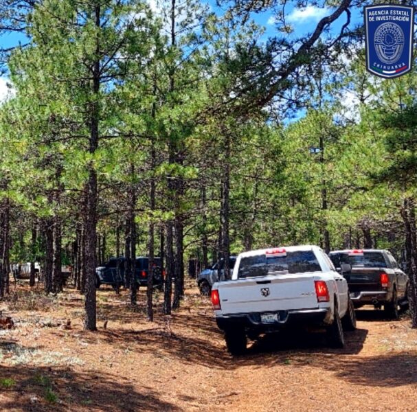 Noticias Chihuahua PAUSA.MX Realizan FGE y CLB inspección en Madera por cuatro desaparecidos