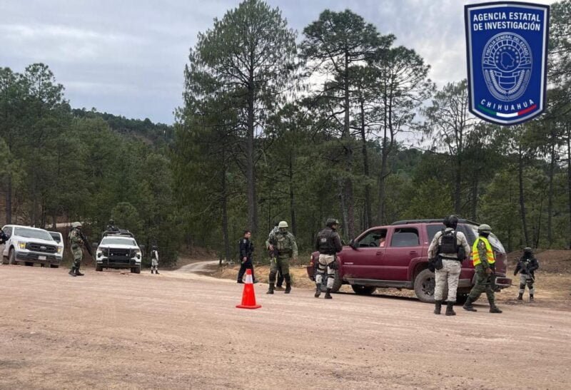 WhatsApp Image 2024-07-29 at 10.17.45 AM