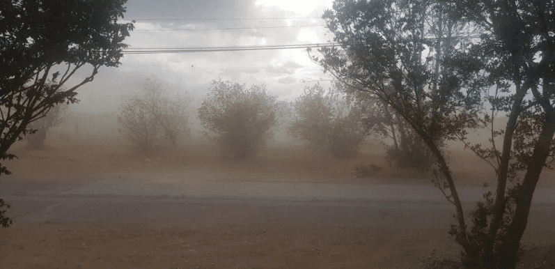 imagen_2024-07-03_171555130