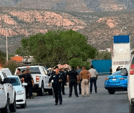 imagen_2024-07-19_121149732