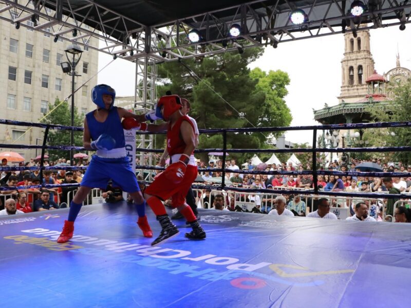 Noticias Chihuahua PAUSA.MX Habrá final de Box de Barrios en Plaza de Armas Noticias Chihuahua Pausa.MX Habrá final de Box de Barrios en Plaza de Armas