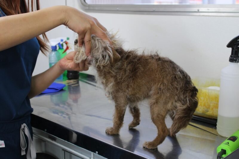 BB4EDD88-4E3B-4306-AD24-980B53579514