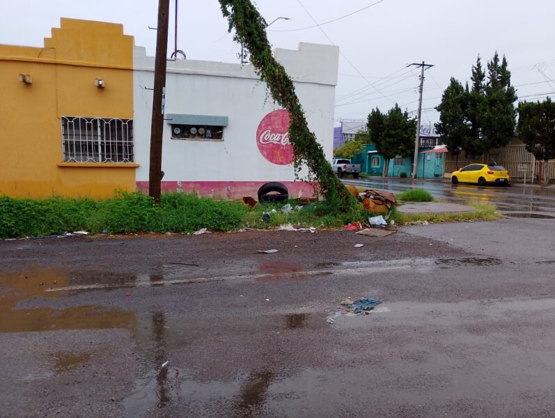 IMG_20240914_122515_1