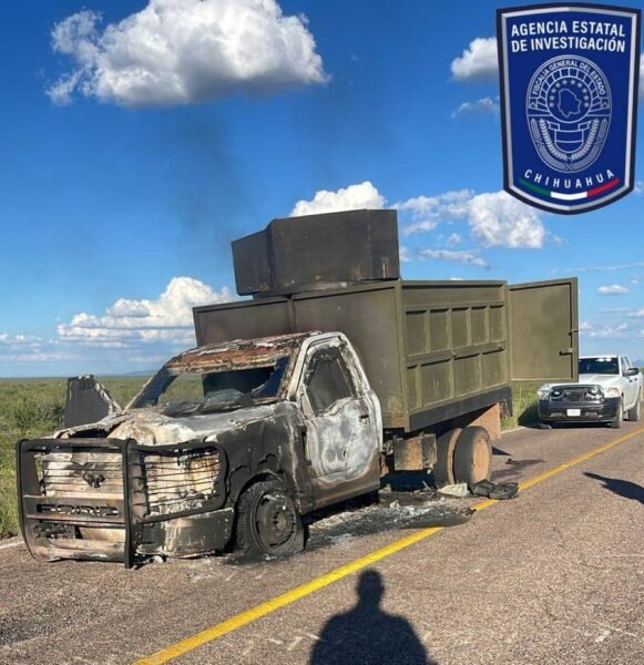 WhatsApp Image 2024-09-17 at 8.01.50 AM