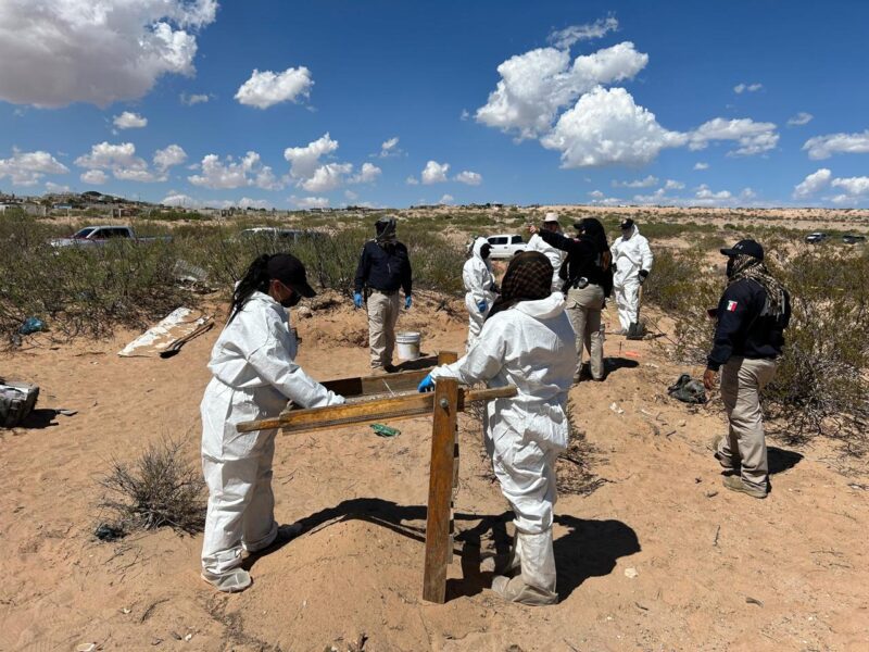 WhatsApp Image 2024-09-25 at 10.47.27 AM