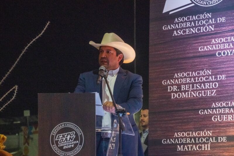 WhatsApp Image 2024-10-11 at 12.57.50 (1)