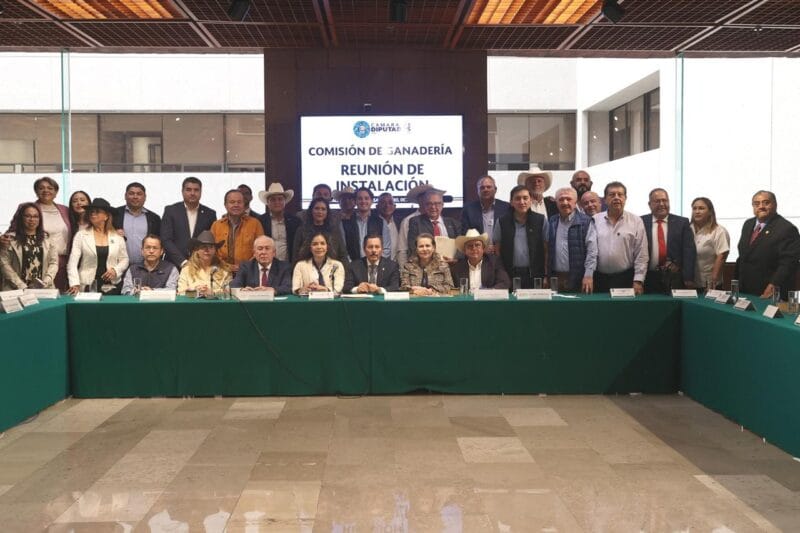 WhatsApp Image 2024-10-31 at 4.58.33 PM