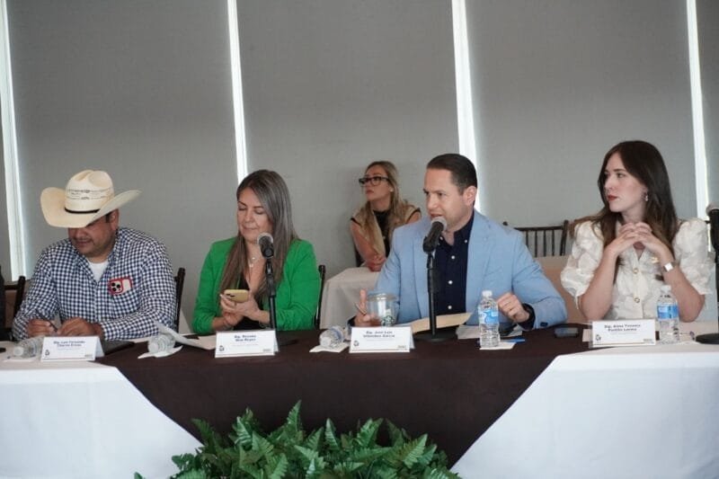 whatsapp-image-20241008-at-80319-am-560879214