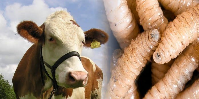 55BB8370-6C80-4AEF-B280-3F2CB3889BDC