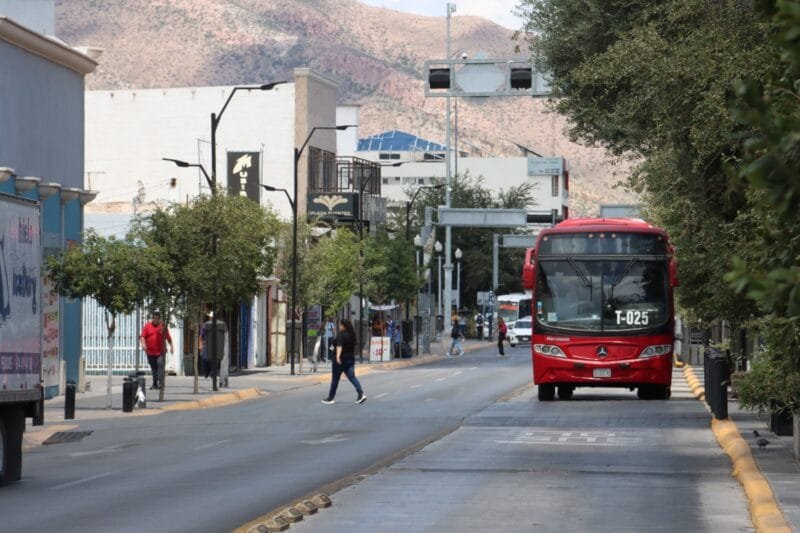 WhatsApp Image 2024-11-01 at 12.52.51 PM