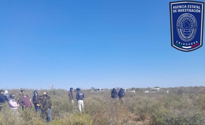 WhatsApp Image 2024-11-01 at 3.53.02 PM (1)