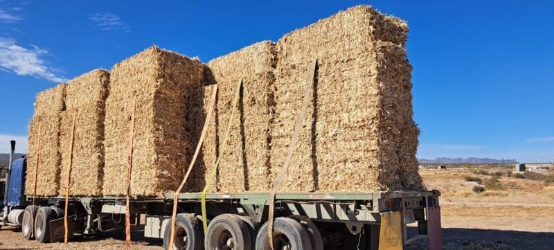 Llegan pacas en apoyar a ganaderos de La Cruz ante estragos de sequía