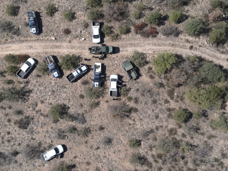 Vigila halcón zona rural al norte de la ciudad; asegura Desarrollo Rural hay tranquilidad